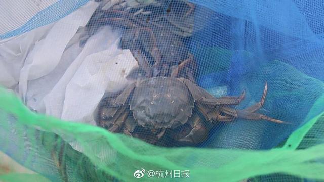 买螃蟹上当