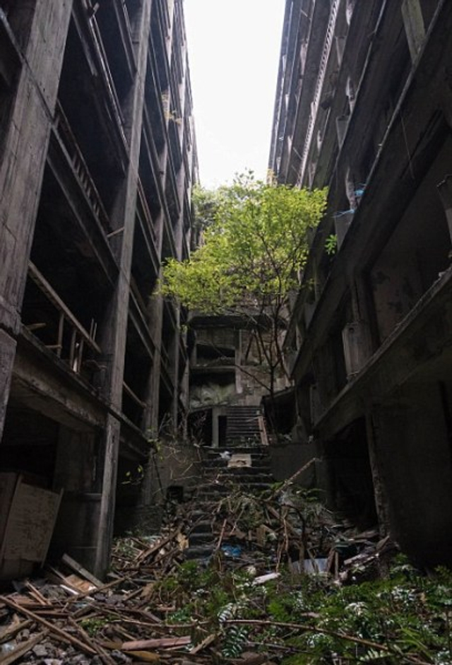 日本军舰岛遭弃变鬼城成007电影拍摄地 新浪图片