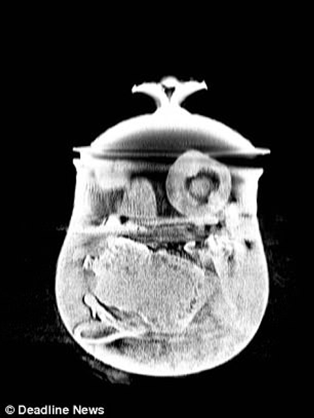 男子发现千年宝藏 上缴后补偿1759万