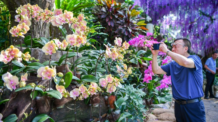 三亚“避寒游”趋热