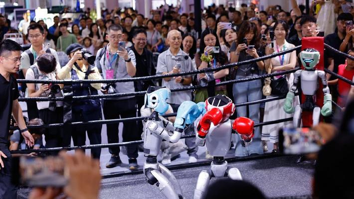 2025世界机器人大会上演“拳击大赛”