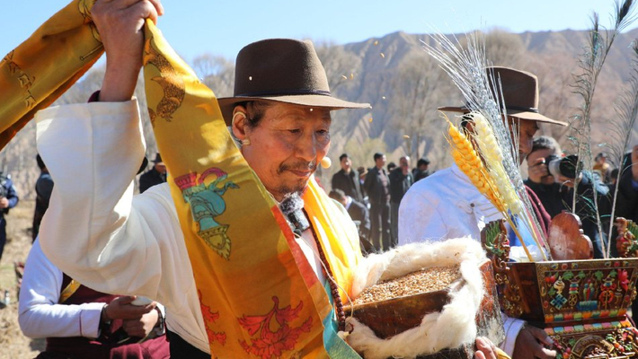 青海贵德传统方式开启春耕“第一犁”