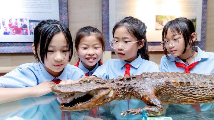 浙江长兴：学生参观扬子鳄博物馆