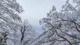 湖南永州：满山草木现雾凇 青山变“雪山”