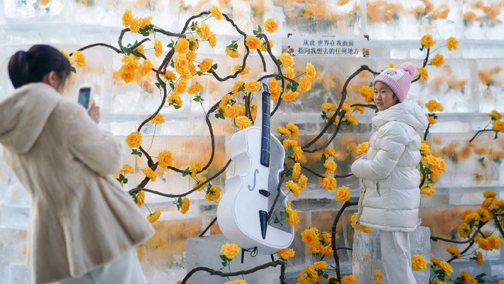 哈尔滨：“冰封玫瑰”惊艳回归