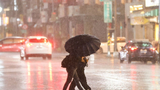 台湾迎降雨天气