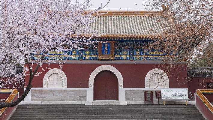 北京北海公园桃花盛开