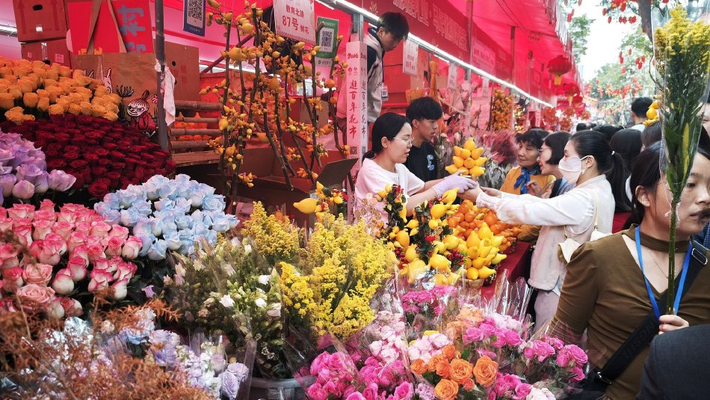 广州西湖迎春花市人潮涌动