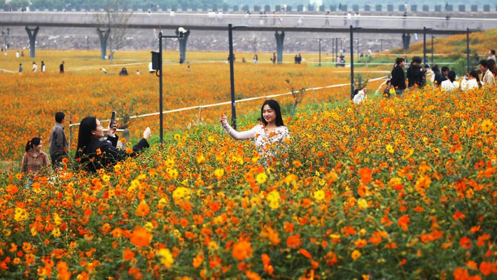 300元不限次二维码：是薅羊毛神器还是消费陷阱？2025年最全深度解析