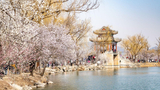 北京：市民颐和园赏桃花