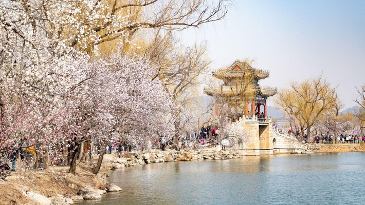 北京：市民颐和园赏桃花