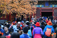 10万人赏香山红叶 公园发预警