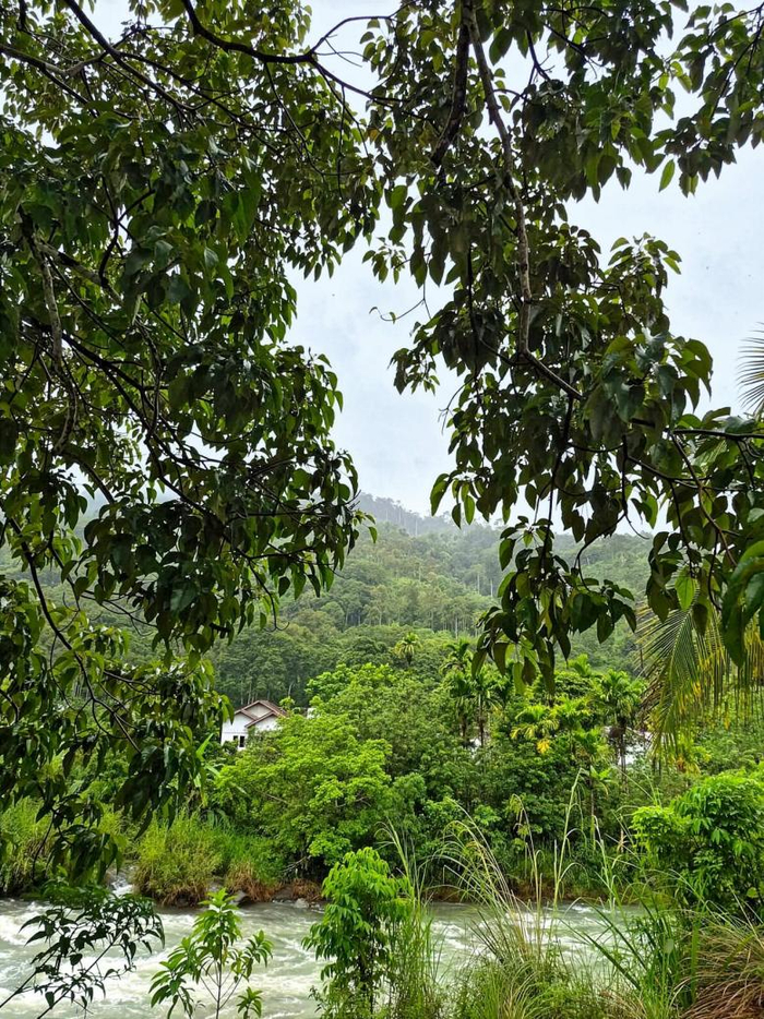 苏门答腊亚齐省的原始森林贝通森林（Beutong Forest）。由于该地区一直面临着土地开发和森林砍伐压力，2026年劳力士大奖得主法维扎·法尔汉（Farwiza Farhan）挺身而出，带领当地民众守护这一独特的生态系统。©Haka