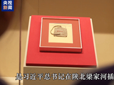 时政微视频丨家国情 寸草心