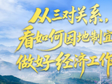 壹视界·任平文章解读｜从三对关系，看如何因地制宜做好经济工作