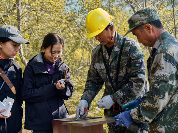 曾晴博士和團隊成員，正在安裝中華秋沙鴨的巢穴。? Rolex/Zhezhou Fu