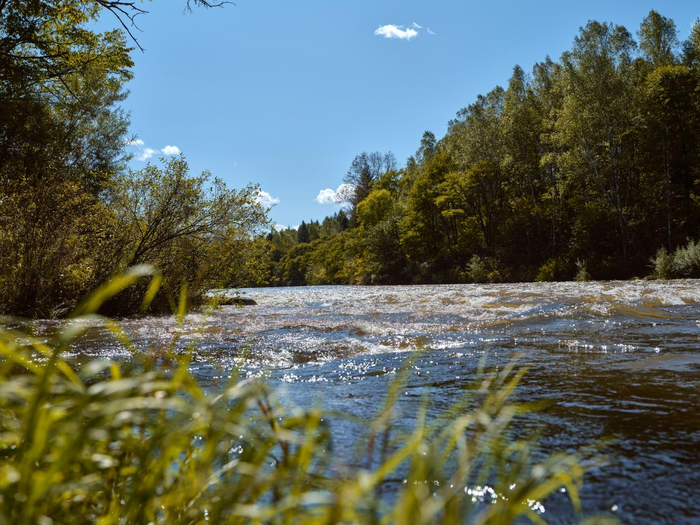 黑龍江碧水中華秋沙鴨國家級自然保護區位於中國東北小興安嶺。中華秋沙鴨能夠反映河流及湖泊的整體環境質量，有“生態試紙”之稱。? Rolex/Zhezhou Fu
