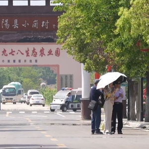 逢山开路 遇水架桥丨小岗村的第二次变革(含视频)