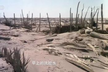 我们走在大路上十万大军戍戈壁