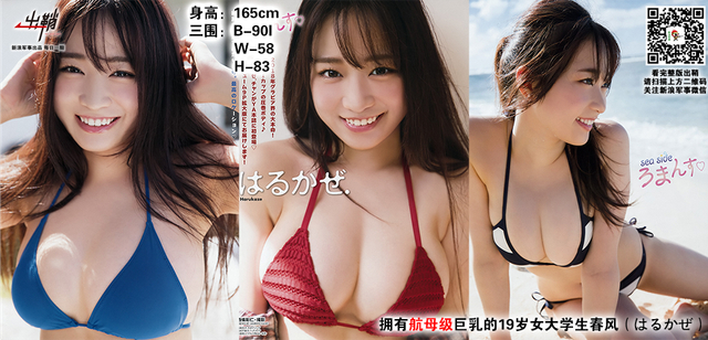 按图读谱尝珍品：从00X航母效果图看中国核航母规划