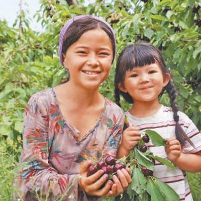  在中塔合建的吉萨尔樱桃园，当地小女孩展示刚摘下的樱桃。本报记者 颜欢摄