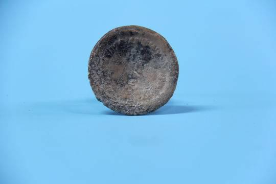 新川大山坡M7龙纹铅饼-正面