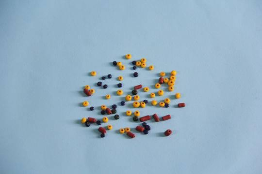 新川杨家山M43“印度-太平洋珠”