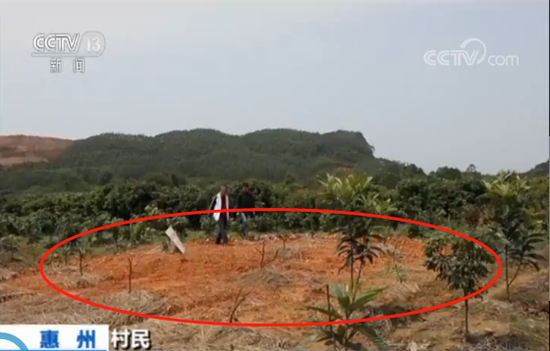 画面中土质较黄（画圈）部分就是回填的泥土。