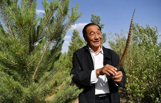 石光银 受访者供图