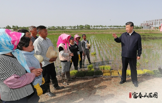 2020年6月9日，习近平总书记在宁夏回族自治区银川市贺兰县稻渔空间乡村生态观光园，同正在劳作的村民亲切交谈。