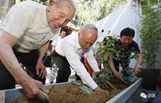 和花友们一同种下月季、石榴