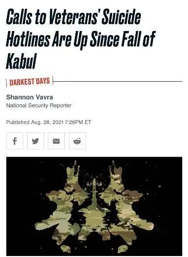 《野兽日报》报道截图