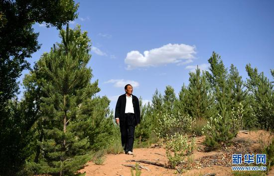  石光银在自己最早治理的“狼窝沙”林地里（2020年5月30日摄）。新华社记者 刘潇 摄