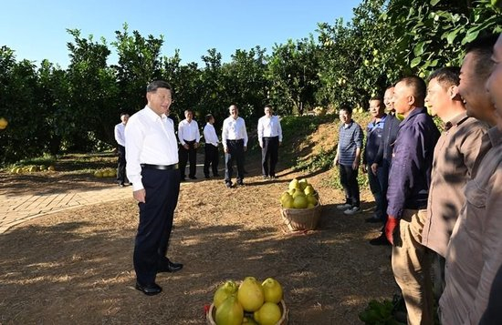 △2025年11月，习近平总书记在广东梅州市雁洋镇南福金柚种植基地考察时，同果农和农技人员亲切交流。