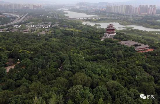 森林环抱绿葱茏
