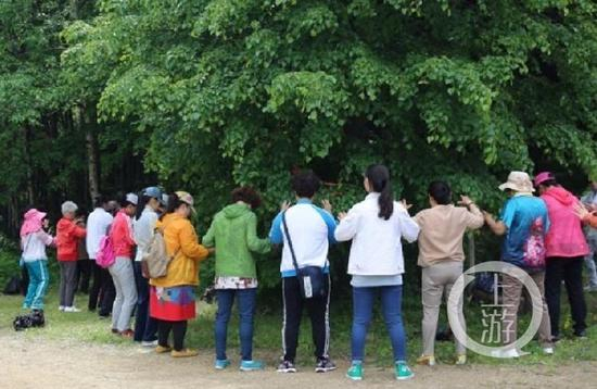 ▲康养中心学员练功。图片来源/森林瑜伽公众号