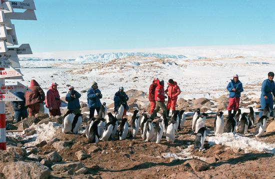 △中山站建成后，吸引了大群的企鹅前来“参观”