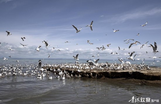 һȺˮ�����ຣ����ʪ�ػ��2021��7��1���㣩���»��緢 ������ �㣩