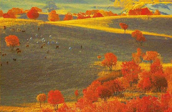 图为2018年9月29日拍摄的塞罕坝国家森林公园秋景。新华社发 潘正光 摄