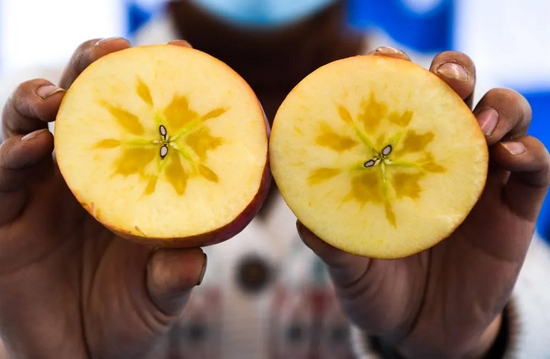 △11月30日，果农在5647次列车上展示自家种植的糖心苹果。