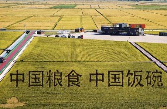 △2022年9月2日，黑龙江省富锦市万亩水稻科技示范园内的稻田画。