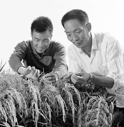 ▲1973年，籼型杂交水稻培育成功，袁隆平（右）获世界粮食奖。