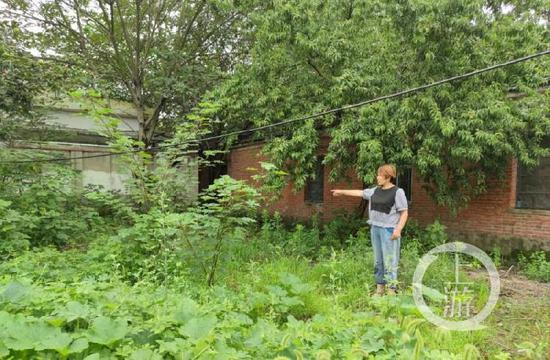  ▲安徽省阜阳市江店孜镇，如今，当年的案发现场已面目全非，杨中芬还是会经常去看看。受访者供图