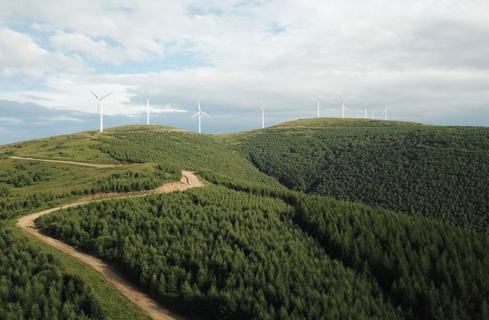 这是河北承德市丰宁满族自治县千松坝林场的景色（2018年8月7日摄，无人机照片）。新华社记者 杨世尧 摄