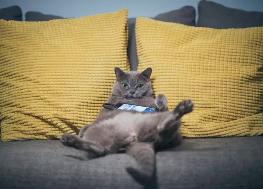  图片来源：视觉中国