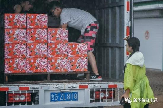  “洮宝”创业团队成员在雨中进行装车工作。新华社记者 许畅　摄
