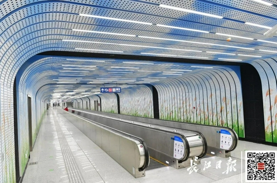 从夏季的芦苇景象出发，营造一种“风吹芦花飘，人在画中游”的视觉享受。记者李永刚 摄