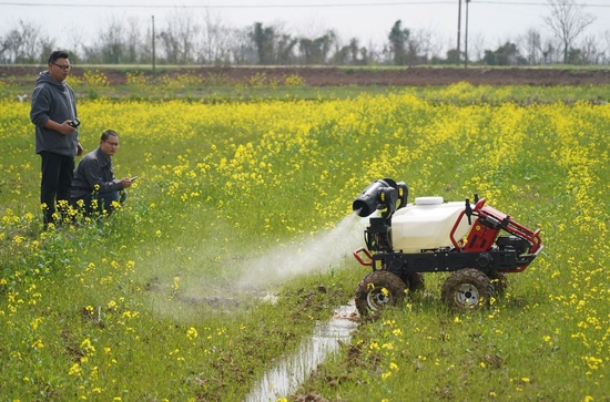 　　在位于江西省南昌县蒋巷镇的大田农社，无人植保机正在对油菜进行植保作业（2021年3月12日摄）。新华社记者 万象 摄