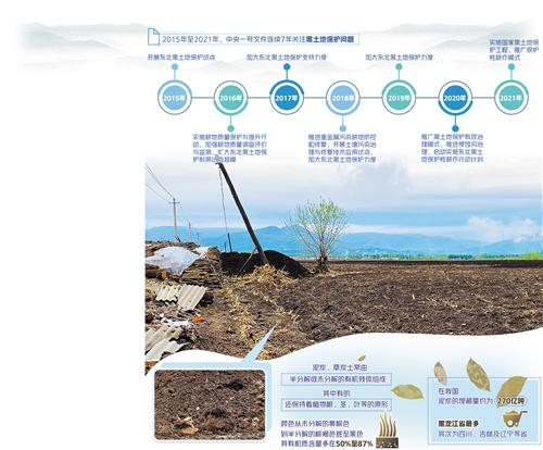 图为福太村此前存放盗采来的草炭土的晾晒场地，现已完成回填。