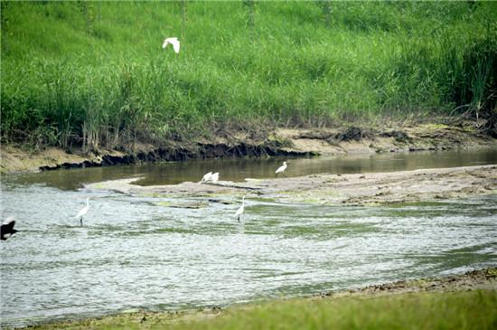 （王羿 摄 来源：河南文物网）